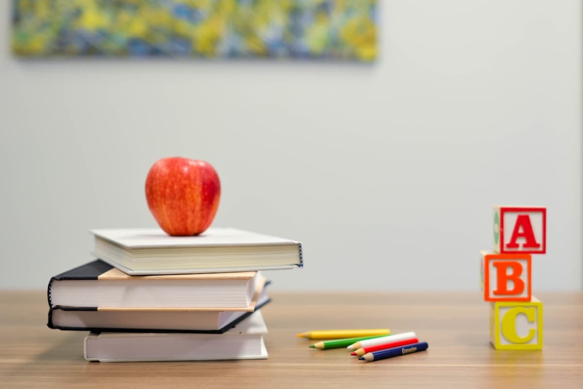 Pedagoglarga davlat xizmatlarida 50 foiz chegirma beriladi