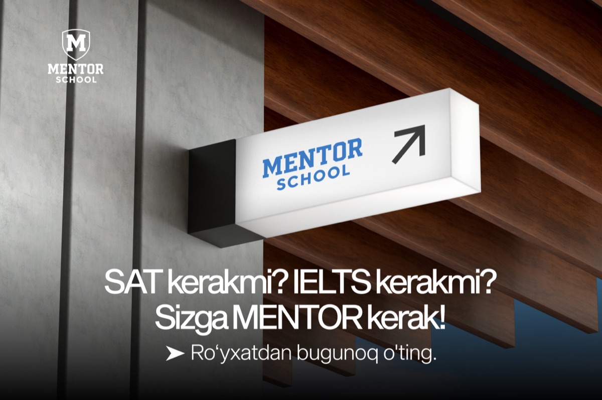 Mentor school