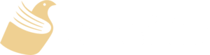 edutalim.uz logo